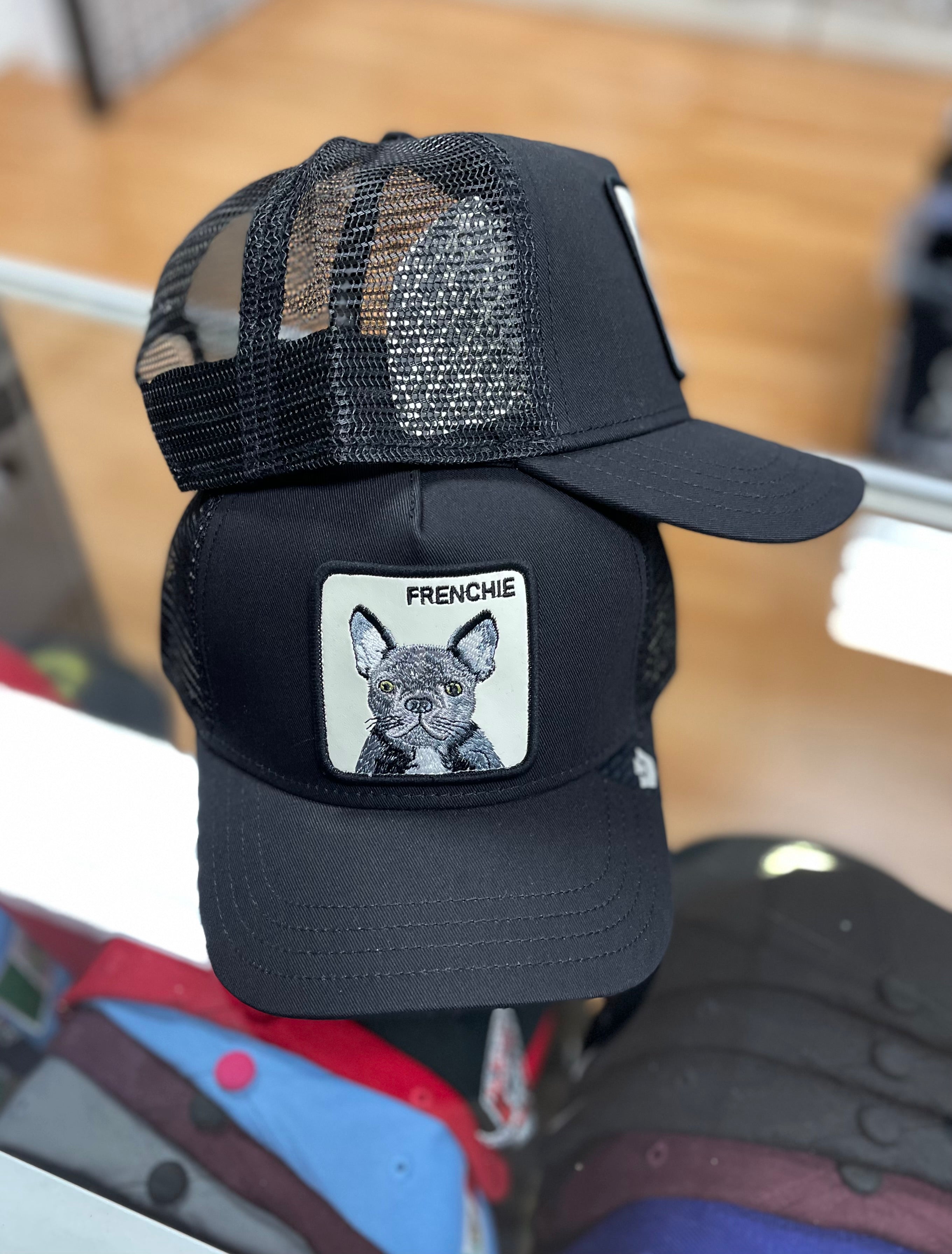 Frenchie snapback
