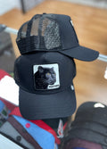 Panther snapback
